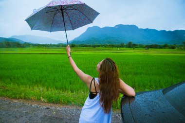 Asyalı kadınlar tatilde rahatça seyahat ederler. Kadınlar yağmurda bir şemsiye tutarak mutlu durdular ve yağan yağmurun tadını çıkardılar. Kırsalda seyahat, yeşil pirinç tarlaları, Tayland seyahati.