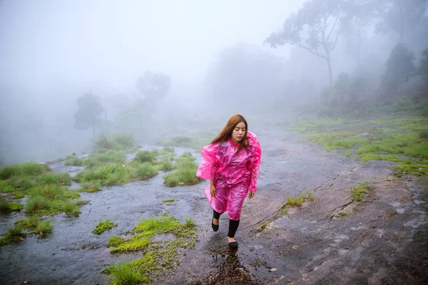 Tourist mit rosa Regenmantel wandert Abenteuer Natur im Regenwald. Reisen Natur, Reisen Relax, Reisen Thailand, Regenzeit. — Stockfoto