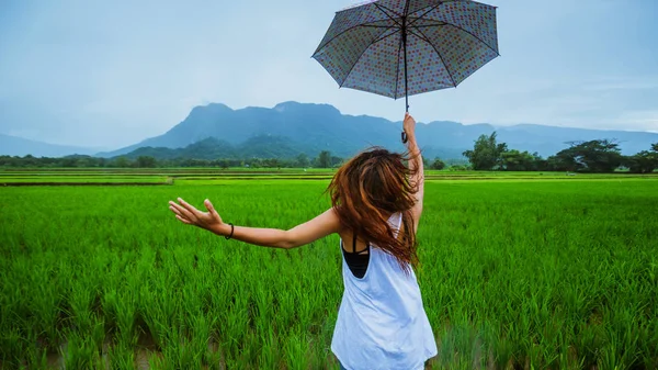 Asiatische Frauen reisen entspannt in den Urlaub. Die Frauen standen glücklich mit einem Regenschirm im Regen und genossen den Regen, der fällt. Reisen in ländliche Gegenden, grüne Reisfelder, Reisen nach Thailand. — Stockfoto