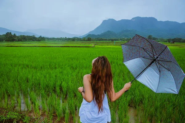 Asiatische Frauen reisen entspannt in den Urlaub. Das Mädchen lächelte glücklich und genoss den Regen, der fiel. Reisen in ländliche Gegenden, grüne Reisfelder, Reisen nach Thailand. — Stockfoto