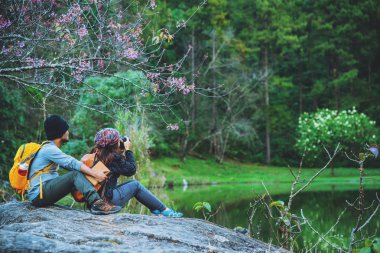 Çiftler seyahat eder, dinlenir, kışın doğayı izlerler. Paphiopedilum orkide koruma merkezi, Chiangmai 'de.