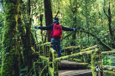 Gençler yağmur ormanlarında doğayı incelemek için seyahat ederler. Bir çok yosun ve güzellikle bir köprüde yürüyorum