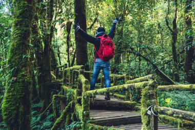 Gençler yağmur ormanlarında doğayı incelemek için seyahat ederler. Bir çok yosun ve güzellikle bir köprüde yürüyorum