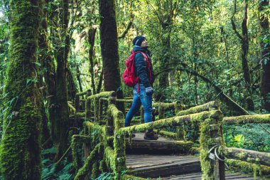 Gençler yağmur ormanlarında doğayı incelemek için seyahat ederler. Bir çok yosun ve güzellikle bir köprüde yürüyorum