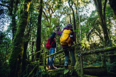 Oturan Asyalı turistler ahşap platformda erişte yiyorlar ve Ban Jabo, Mae Hong Son, Tayland 'daki güzel doğa dağlarının manzarasına bakıyorlar..