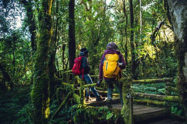 Çiftler seyahat eder, kışın dinlenir. Yağmur ormanlarında doğa eğitimi almak için yürüyüş yolculuğunun tadını çıkarırlar. Angka 'da, Chiangmai