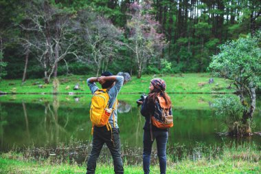 Asyalı çiftler, tatilde rahatlayın. seyahat doğası fotoğraf çekiyor pembe sakura.