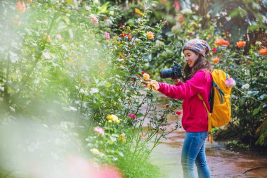 Elinde kamera, bahçede güllerin fotoğrafını çeken kız..