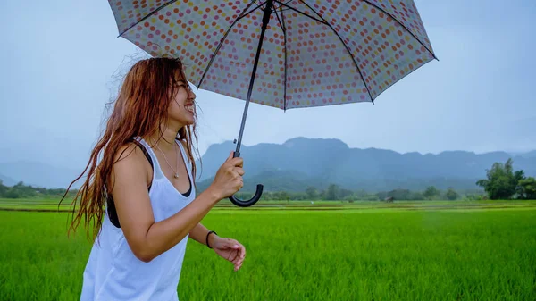 Asijské ženy cestují relaxovat na dovolenou. Ženy stály s deštníkem v dešti šťastné a užívají si deště, který padá. cestování v zemích, Zelená rýžová pole, Cestovní Thajsko. — Stock fotografie