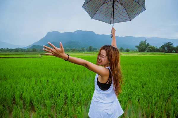 Asiatische Frauen reisen entspannt in den Urlaub. Das Mädchen lächelte glücklich und genoss den Regen, der fiel. Reisen in ländliche Gegenden, grüne Reisfelder, Reisen nach Thailand. — Stockfoto