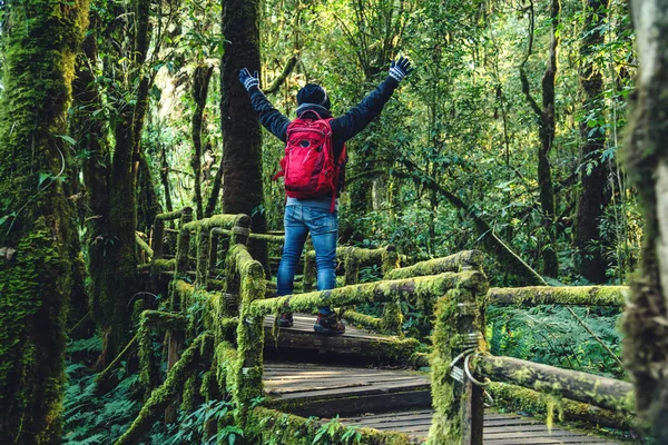 Mladí muži cestují studovat přírodu v deštném pralese. Procházka po mostě s mnoha mechy a krásnými — Stock fotografie