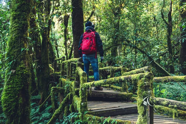 Young men travel to study nature in the rainforest. Walking on a bridge with many mosses and beautiful