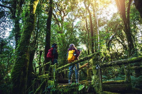 여행을 하거나 겨울에 휴식을 취하거나 걸어서 열 대 우림에서 자연을 연구하는 것을 즐기 세요. 강 카, 치앙마이 에서 — 스톡 사진