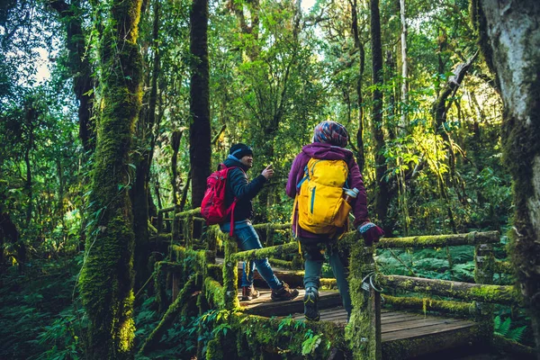 Cestování párů, relaxovat v zimě.Užijte si pěší turistiku pro studium přírody v deštném pralese. v angce, Chiangmai — Stock fotografie