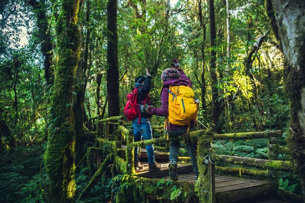 Parejas viajando, relajarse en invierno.Disfrute de caminatas a pie para estudiar la naturaleza en la selva tropical. en el angka, Chiangmai — Foto de Stock