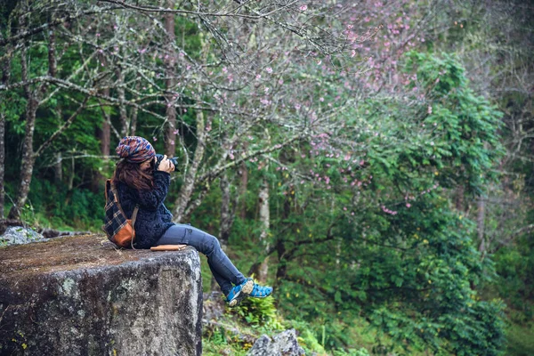 Vrouw reizen natuur het nemen van foto 's roze sakura bloem op doi Inthanon Chiangmai in Thailand. — Stockfoto