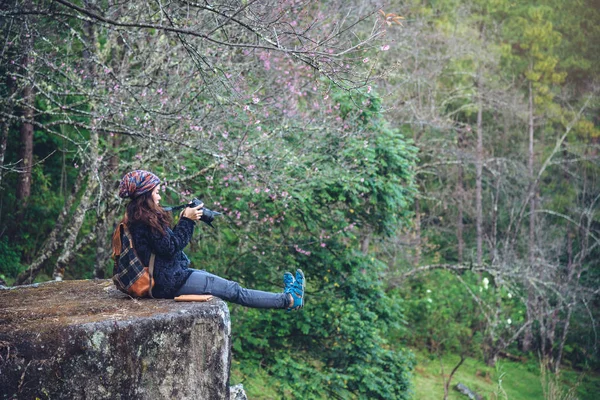 Vrouw reizen natuur het nemen van foto 's roze sakura bloem op doi Inthanon Chiangmai in Thailand. — Stockfoto