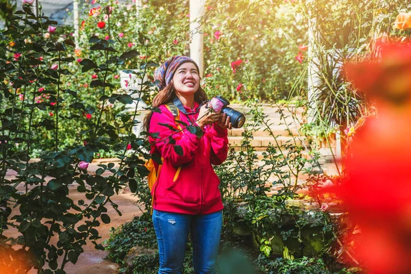 Cestovní příroda relaxovat v prázdninách. fotografování pestrobarevné růže v růžové zahradě v doi Inthanon Chiangmai. — Stock fotografie