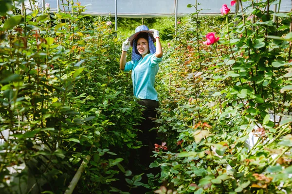 Asiatische Bäuerinnen, die eine Rose in der Hand halten und lächeln. Arbeiter arbeiten im Rosengarten. — Stockfoto