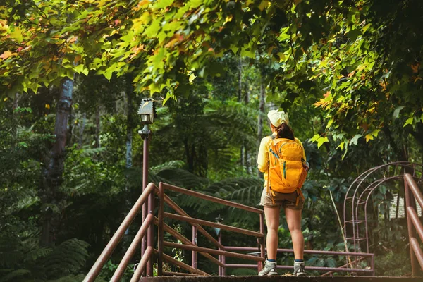 Viajar a estudiar la naturaleza en la selva tropical de las mujeres jóvenes . — Foto de Stock
