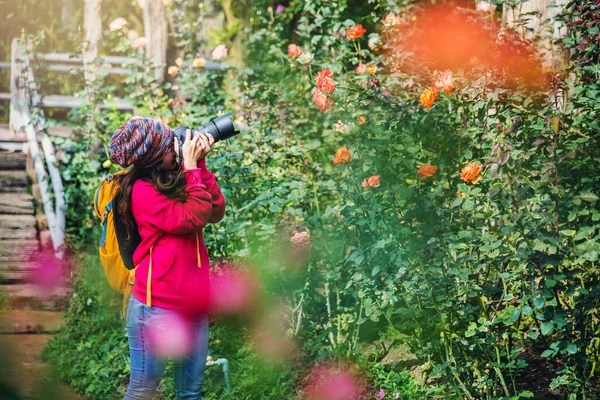 Fotograf resa fotografi i rosenträdgården. Slappna av. Flerfärgade rosor vacker, bakgrund oskärpa. — Stockfoto