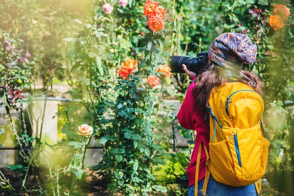 Fotografía de viaje del fotógrafo en el jardín de rosas. Relájate. Rosas multicolores hermoso, fondo borroso . — Foto de Stock