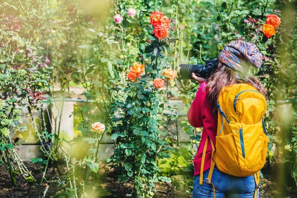 Fotograaf reisfoto in de rozentuin. Reizen ontspannen. Veelkleurige rozen mooi, achtergrond vervaging. — Stockfoto