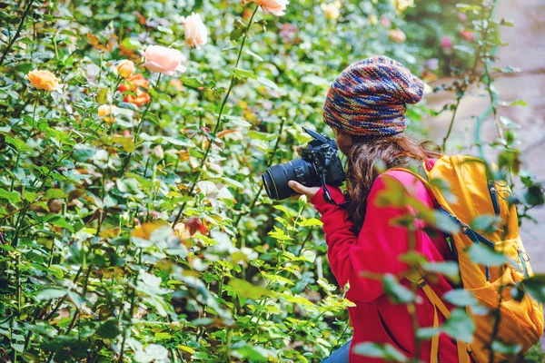 Mujer viajar naturaleza tomar fotografías en el jardín de rosas en doi Inthanon Chiangmai en Tailandia . — Foto de Stock