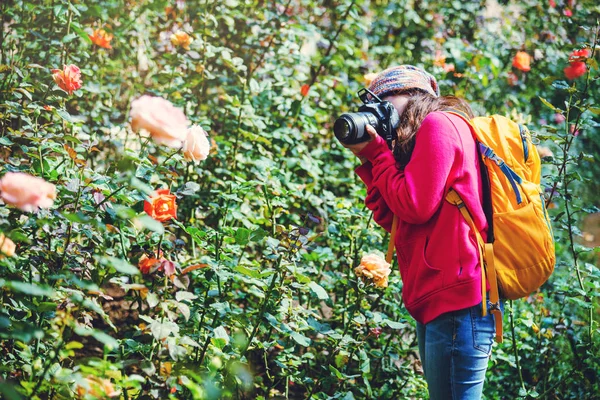 Kvinna resa natur ta bilder i rosenträdgården. Flerfärgade rosor vackra på doi Inthanon Chiangmai i Thailand. — Stockfoto