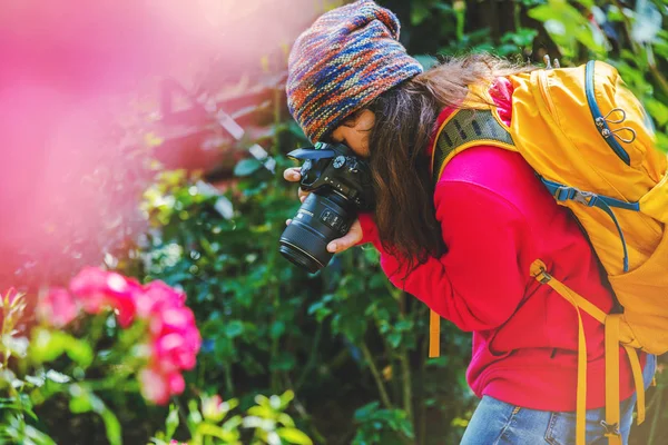 Fotografía de viaje del fotógrafo en el jardín de rosas. Relájate. Rosas multicolores hermoso, fondo borroso . — Foto de Stock