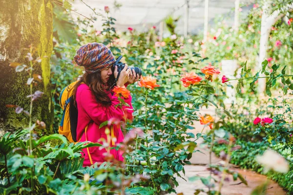 Žena cestování příroda fotografování v růžové zahradě v doi Inthanon Chiangmai v Thajsku. — Stock fotografie