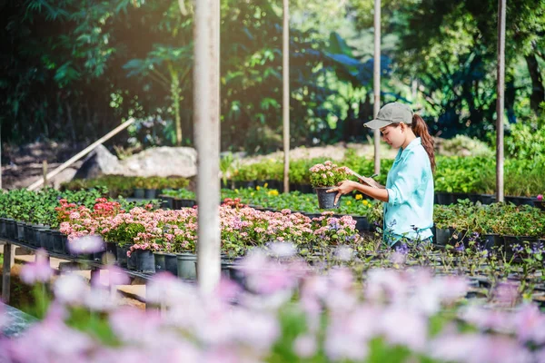 Junge Frauen, die im Blumengarten arbeiten, studieren und schreiben Aufzeichnungen über die Veränderungen der Blütenbäume. Hintergrund Blumengarten — Stockfoto