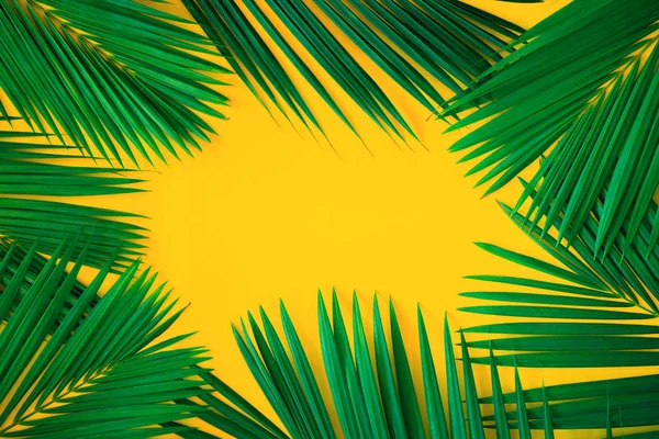 Green tropical palm leaves on bright yellow background. Creative nature layout made leaves. Concept art. Summer concept, tropical palm leaf background, space for text.