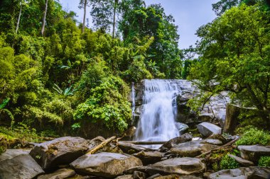 Arka plan Duvar Kağıdı Doğa Forest Hill Şelalesi Tayland ve Do Do Inthanon. Doğayı gezmek. Seyahat, rahatla. Siliphum Şelalesi.