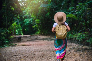 Sırt çantalı genç kız ormandaki yemyeşil ağaçların tadını çıkarıyor. Ormanda yürüyen bir kızın arka plandaki görüntüsü. Yazın seyahat, dinlenme, Tayland seyahati..