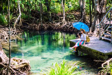 Asyalı kadınlar seyahat ederken rahatlar, tatillerde doğayı gezerler. Krabi 'deki Tha Pom Klong Song Nam' da oturup göl ormanının doğasını seyreden kadınlar. Yaz, Tayland Seyahati.