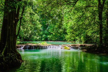 Peyzaj Şelalesi Bok Khorani. Yağmur mevsiminde renkli orman, yağmur mevsiminde renkli orman yağmur mevsiminde su düşer, zümrüt su deresi, ormanın derinliklerinde şelale.