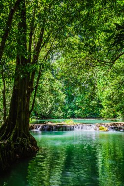 Peyzaj Şelalesi Bok Khorani. Yağmur mevsiminde renkli orman, yağmur mevsiminde renkli orman yağmur mevsiminde su düşer, zümrüt su deresi, ormanın derinliklerinde şelale.