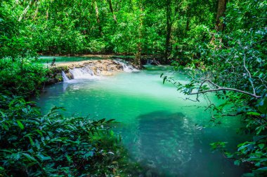 Peyzaj Şelalesi Bok Khorani. (Thanbok Khoranee Ulusal Parkı) Göl, doğa yolu, orman, mangrov ormanı, seyahat doğası, seyahat doğası, Tayland, doğa çalışmaları. Çekim.