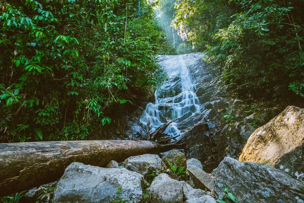 Fondo Fondos de pantalla naturaleza Forest Hill Waterfall. Thailand Doi en Thanon. Naturaleza de viaje. Relájate. Cascada de silicio . — Foto de Stock