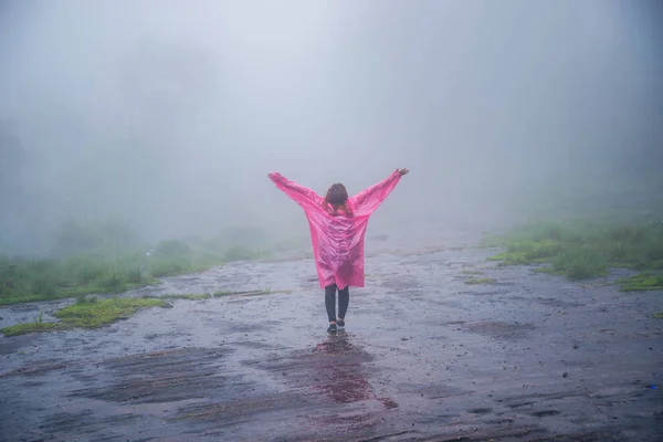 tourist with pink rain coat Stand View the scenery natural beautiful touch fog at Phu Hin Rong Kla National Park. travel nature, Travel relax, Travel Thailand, rainy season.
