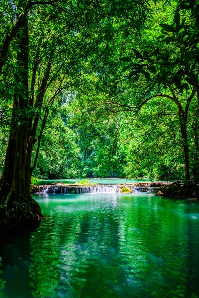 Landscape Waterfall Than Bok Khorani. Colorful forest in the rainy season,Colorful forest in the rainy season, The water falls in the rainy season, Emerald water stream, waterfall in the deep forest.