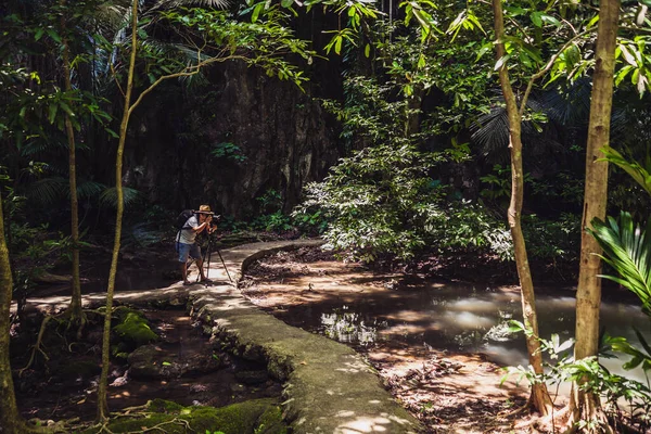 Los hombres están haciendo senderismo, tomando fotos de la naturaleza en vacaciones. Estudio de la naturaleza en el bosque. Senderistas caminando en el bosque. Viajando por la selva tropical. Un hombre con una mochila viajando en un bosque tropical . — Foto de Stock