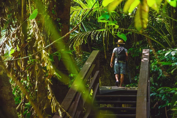 Los hombres están haciendo senderismo, tomando fotos de la naturaleza en vacaciones. Estudio de la naturaleza en el bosque. Senderistas caminando en el bosque. Viajando por la selva tropical. Un hombre con una mochila viajando en un bosque tropical . — Foto de Stock