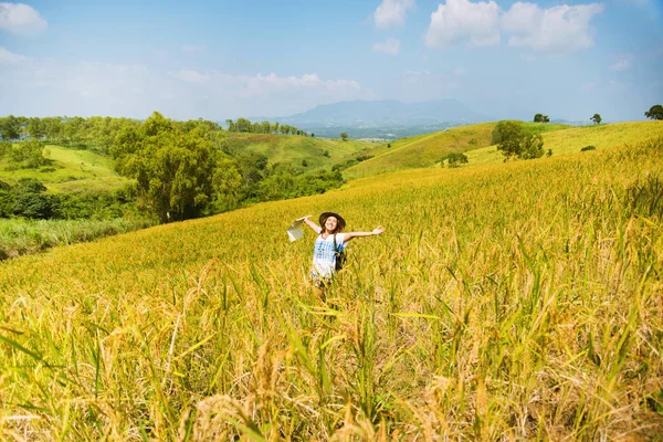 Asiatky cestují po rýžových polích Zlatá žlutá Na horách o svátcích. šťastný a užívat si krásnou přírodu. Rýžová pole Golden. Cestovat s mapou asijských dívek. léto — Stock fotografie