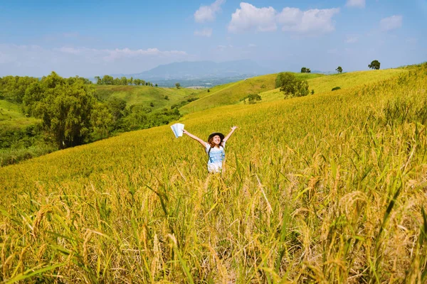 Asiatky Cestují Rýžových Polích Zlatá Žlutá Horách Svátcích Šťastný Užívat — Stock fotografie