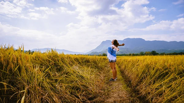 아시아 여성들은 국경일에 황금빛논 을 여행 한다. 아름다운 자연을 즐기며 행복해 하고 있습니다. 시골, 푸른 논밭, 태국 여행. — 스톡 사진