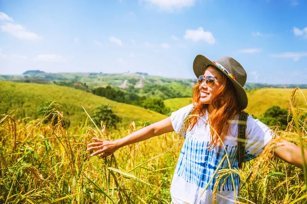 Asijky cestují Rýžová pole zelená Na horách o prázdninách. šťastný a užívat si krásnou přírodu. Rýžová pole Golden. léto — Stock fotografie
