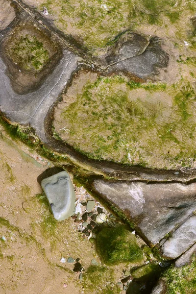 Yeşil yosun ile kıyı Rock arka plan.