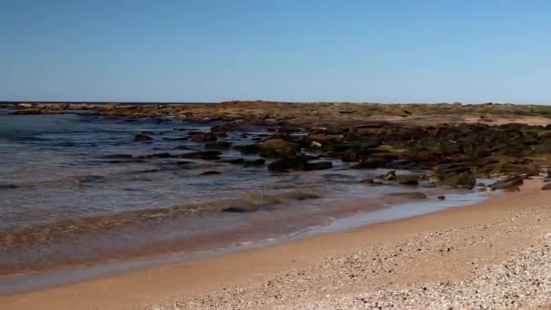 在澳大利亚新南威尔士中部海岸的雪莱海滩南边的沙滩上和蓝色泻湖上的小波浪被打破 平底锅是从岸上到海洋离开 — 图库视频影像